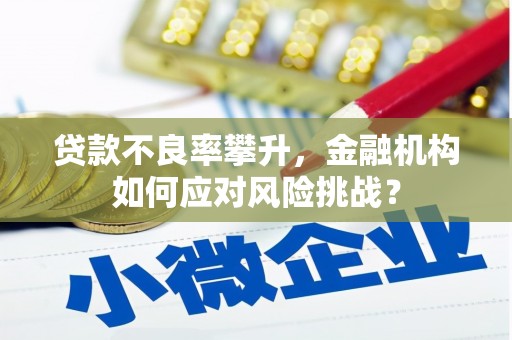 乐东贷款不良率攀升，金融机构如何应对风险挑战？
