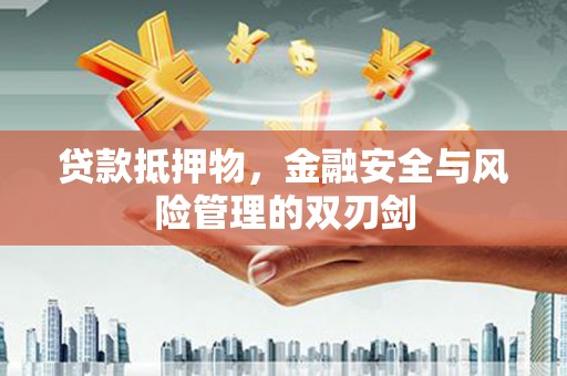 乐东贷款抵押物，金融安全与风险管理的双刃剑