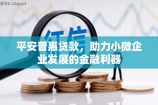 东石平安普惠贷款，助力小微企业发展的金融利器