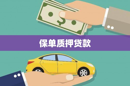 三角保单质押贷款