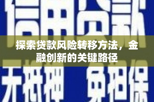 黄平探索贷款风险转移方法，金融创新的关键路径