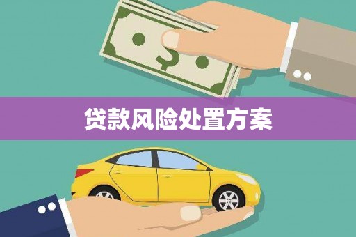 浠水贷款风险处置方案