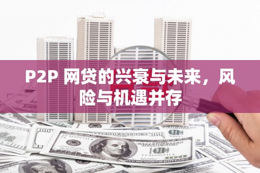 山阴P2P 网贷的兴衰与未来，风险与机遇并存