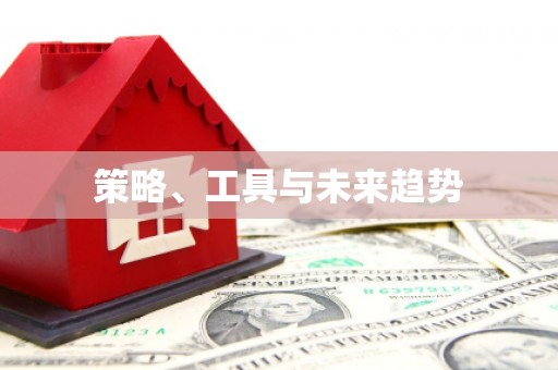 丰县策略、工具与未来趋势