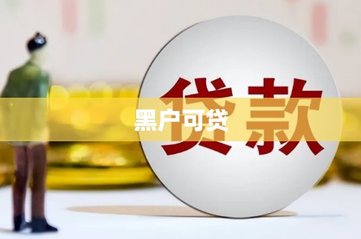 罗定黑户可贷