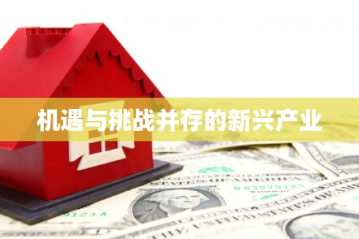 苑里机遇与挑战并存的新兴产业