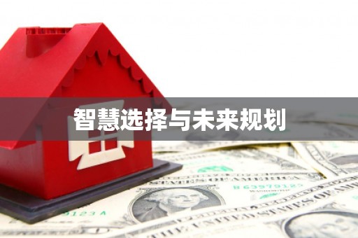 宜阳智慧选择与未来规划
