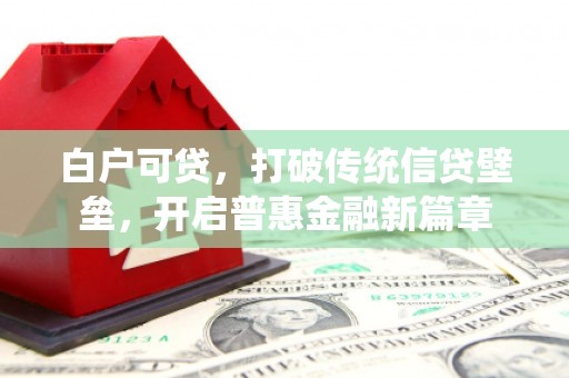 平原白户可贷，打破传统信贷壁垒，开启普惠金融新篇章
