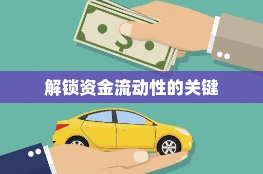 西双版纳解锁资金流动性的关键