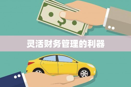 巴音郭楞灵活财务管理的利器
