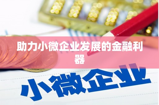 洪江助力小微企业发展的金融利器
