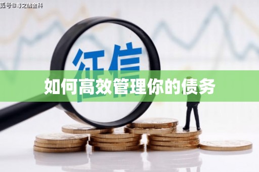 池上如何高效管理你的债务