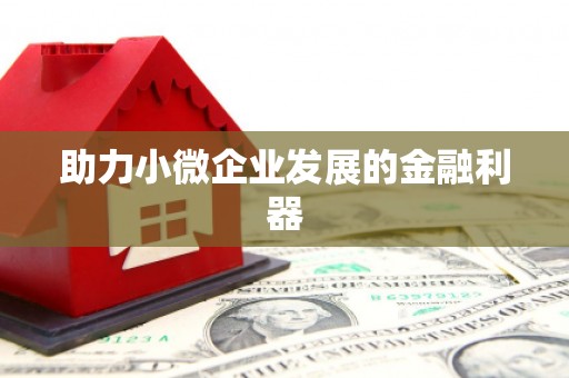 池上助力小微企业发展的金融利器