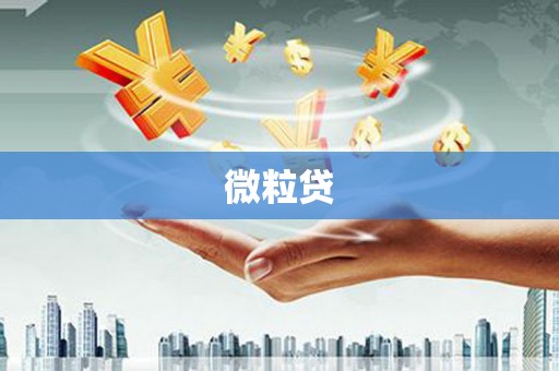 呼玛微粒贷