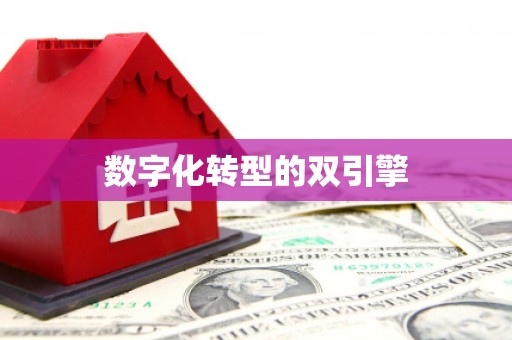 吉州数字化转型的双引擎