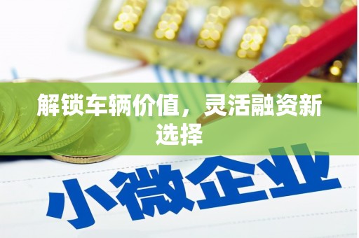 南召解锁车辆价值，灵活融资新选择
