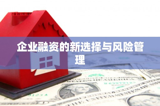 察雅企业融资的新选择与风险管理
