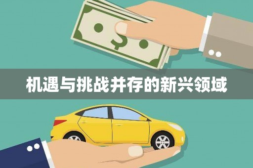 台前机遇与挑战并存的新兴领域