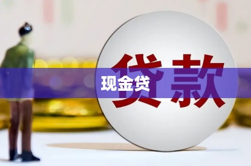 会东现金贷