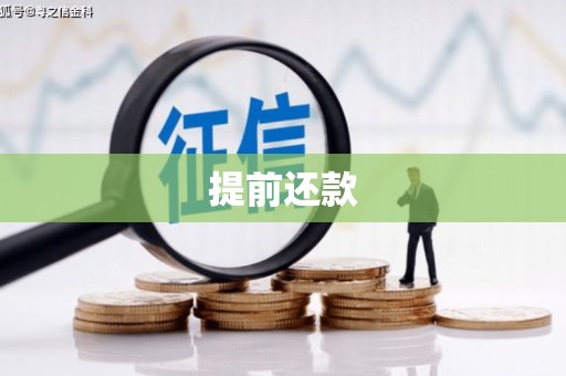 会东提前还款