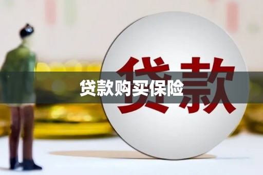 八德贷款购买保险