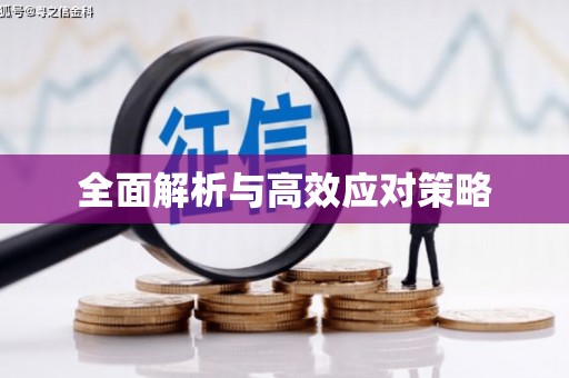 滦平全面解析与高效应对策略