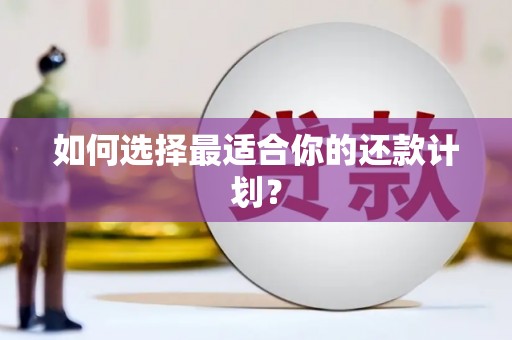 来凤如何选择最适合你的还款计划？
