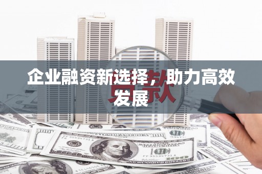 大武企业融资新选择，助力高效发展