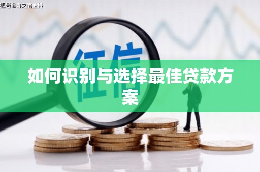 龙胜如何识别与选择最佳贷款方案