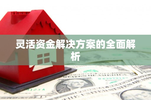 龙胜灵活资金解决方案的全面解析