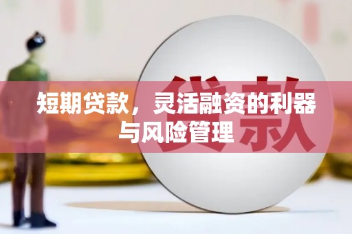 公馆短期贷款，灵活融资的利器与风险管理