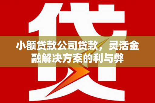 公馆小额贷款公司贷款，灵活金融解决方案的利与弊