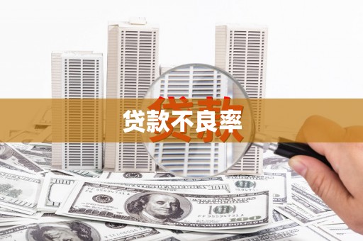 海晏贷款不良率
