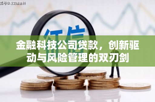 西畴金融科技公司贷款，创新驱动与风险管理的双刃剑