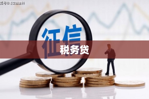 西畴税务贷