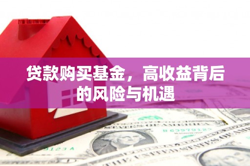西畴贷款购买基金，高收益背后的风险与机遇